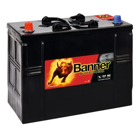 Banner Buffalo Bull 62513M Startbatteri Rea